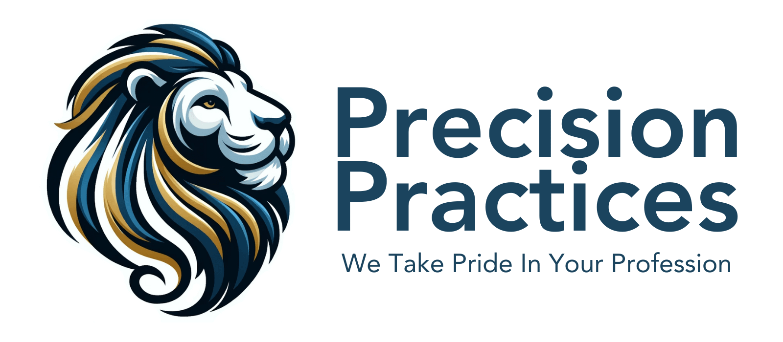 Precision Practices Logo With Tagline